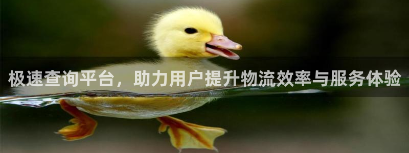 超凡国际黑款：极速查询平台，助力用户