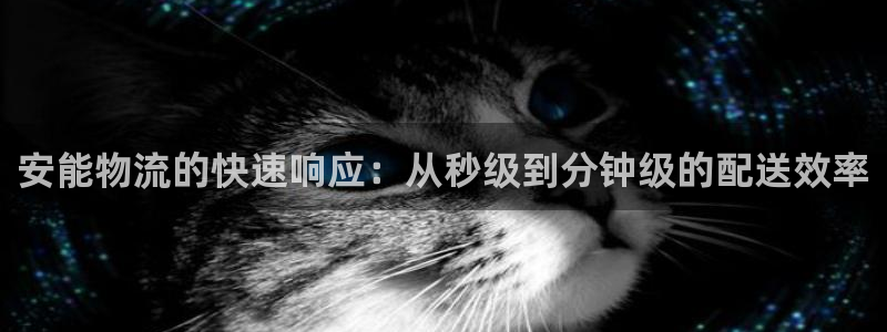 超凡国际反水：安能物流的快速响应：从