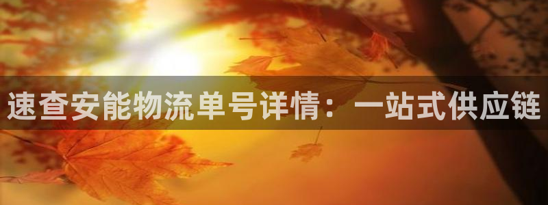 超凡国际注册与教程：速查安能物流单号