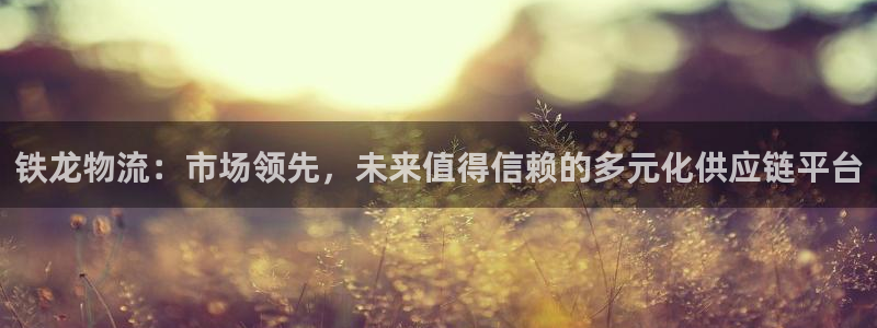 超凡国际v6能卖多少：铁龙物流：市场