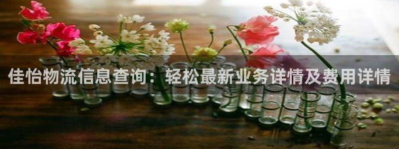 超凡国际客服电话：佳怡物流信息查询：轻松最新业务详情及费用详