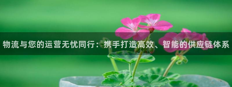 超凡国际提现不到账：物流与您的运营无忧同行：携手打造高效、智