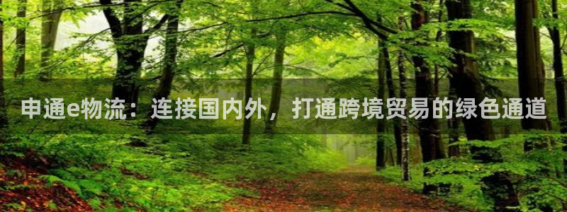 超凡国际cn：申通e物流：连接国内外