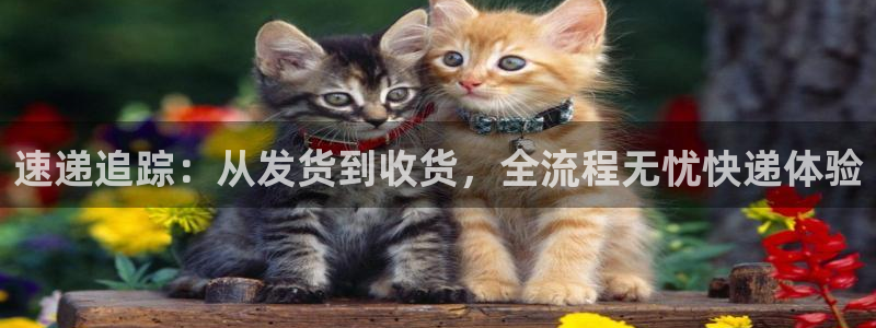 超凡国际下载链接是多少：速递追踪：从