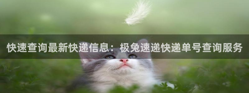 超凡国际登录不上咋回事：快速查询最新