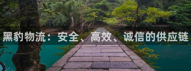 超凡国际娱乐官网网页入口：黑豹物流：