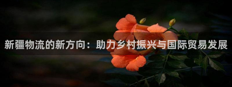 超凡国际最稳打法