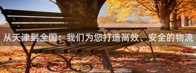 超凡国际登陆网：从天津到全国：我们为您打造高效、安全的物流