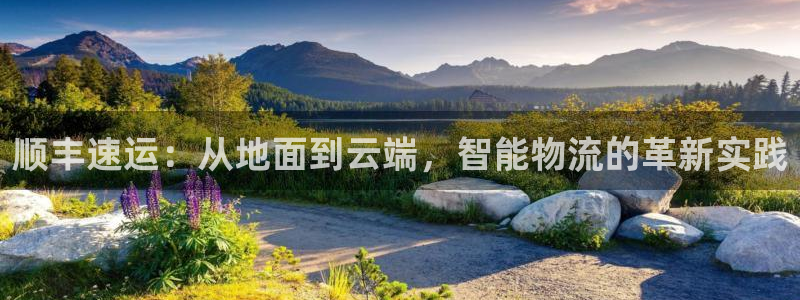超凡国际娱乐官网网页入口：顺丰速运：