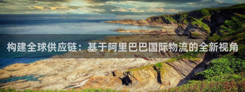加拿大超凡国际数字规则：构建全球供应