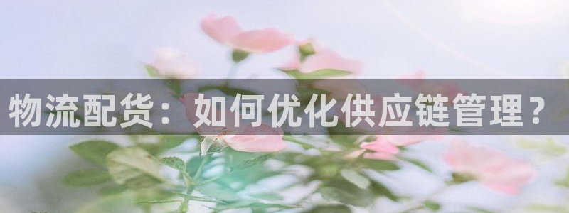 超凡国际加拿大:物流配货:如何优化供