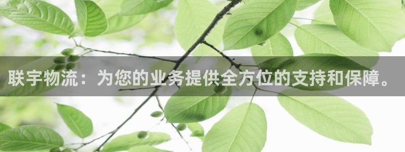 超凡国际网站怎么注册:联宇物流:为您