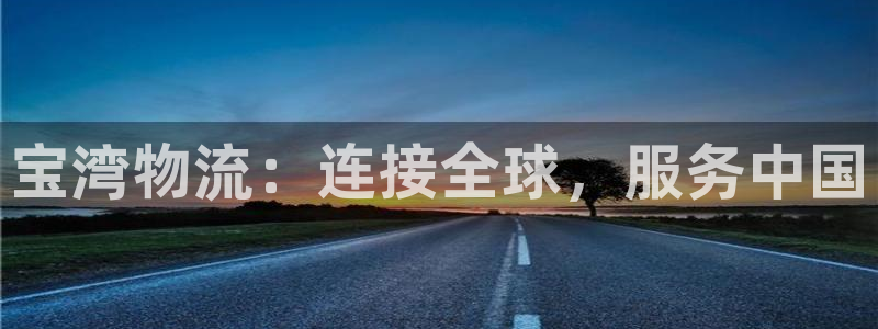 超凡国际忘记账号：宝湾物流：连接全球，服务中国
