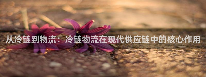 超凡国际大舞台:从冷链到物流:冷链物