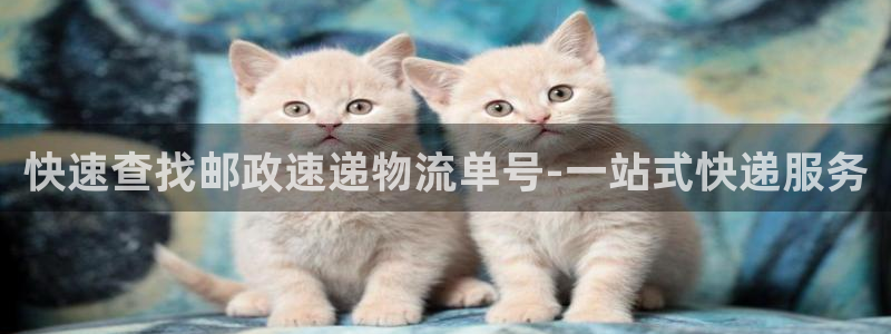 超凡国际赌博软件正规吗