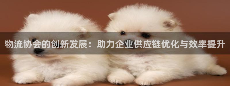 超凡国际提款一直没到：物流协会的创新发展：助力企业供应链优化